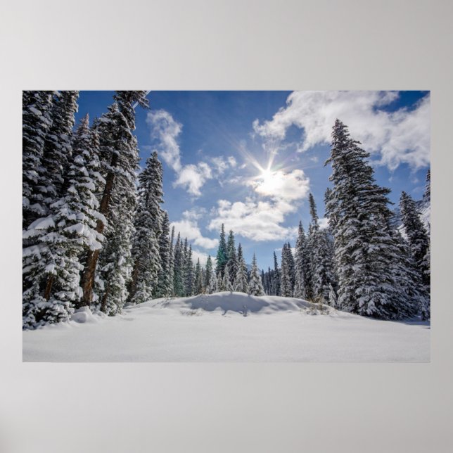 Poster Gelo e neve | Sunrise Winter Snow Alberta, Canadá (Frente)