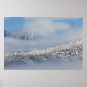 Poster Gelo e Nevoeiro nas Montanhas