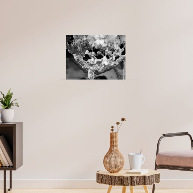 Poster Gelo rendado (Sala de Estar 3)