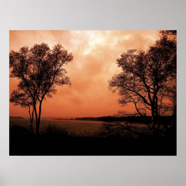 Pôster Gêmeos (Frente)