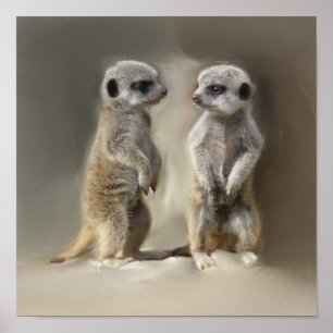 Pôster Gêmeos do bebê de Meerkat