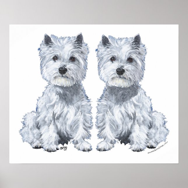 Poster Gêmeos do Terrier Branco de West Highland! (Frente)