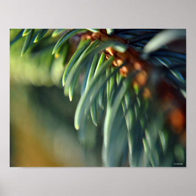 Poster Gêmeos roxos, pintura de arte quadrada - ETSY (Frente)