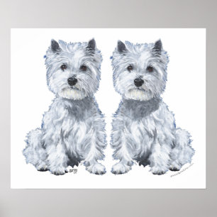 Poster Gêmeos West Highland White Terrier!