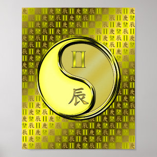 Poster Gemini & Metal Dragon