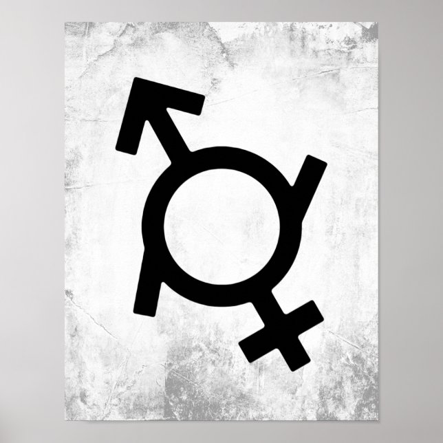 Poster Genderfluid Female and Male Gender Symbol (Frente)