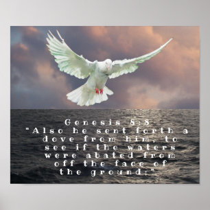POSTER GÊNESE 8:8
