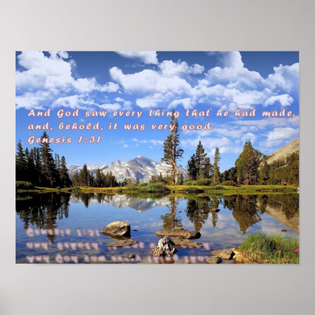 Pôster Gênesis 1:31 (Frente)