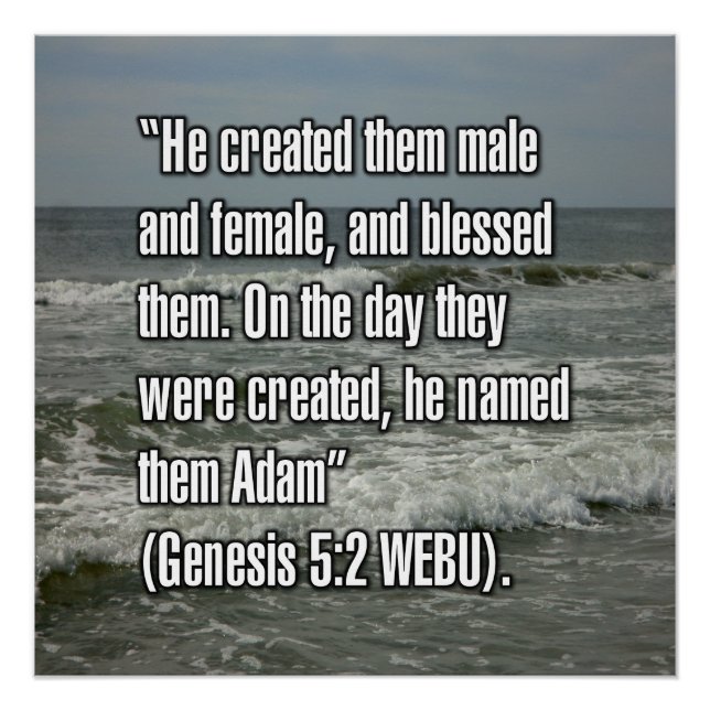 Pôster Gênesis 5:2 WEBU (Frente)