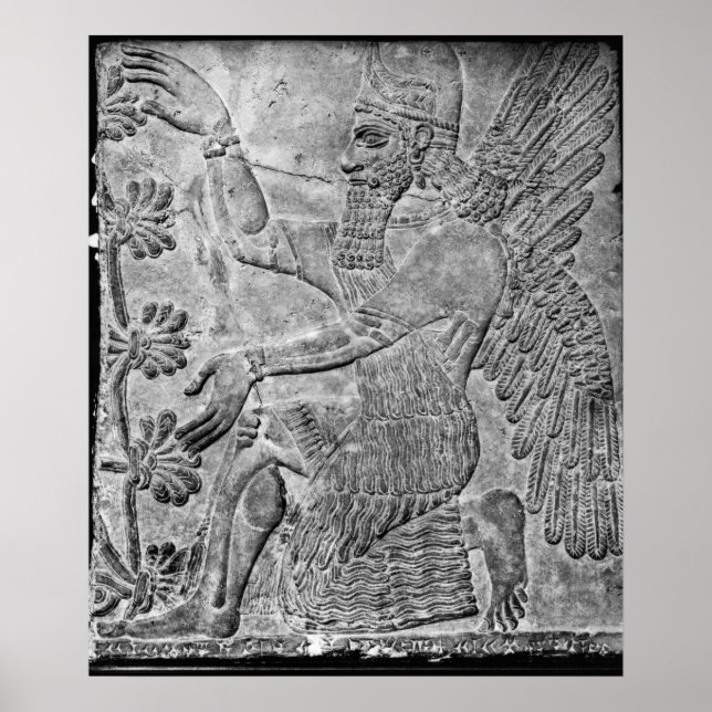 Poster Genie Winged cultuando a árvore sagrada (Frente)