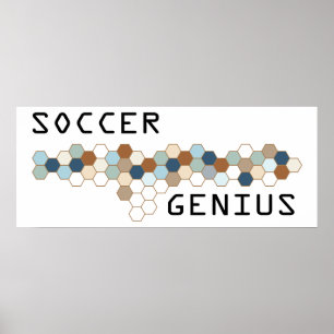 Pôster Gênio do futebol