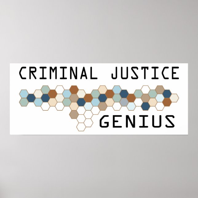 Pôster Genius da Justiça Penal (Frente)