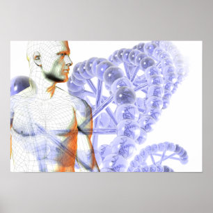 Poster Genoma humano
