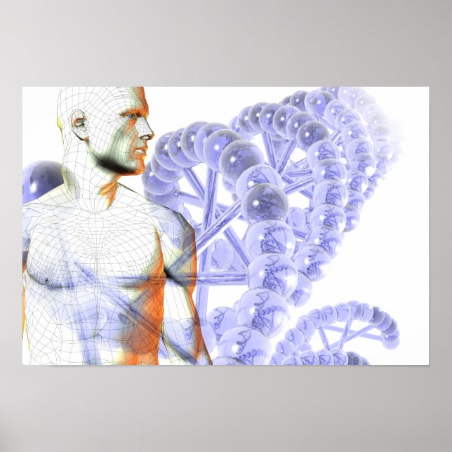 Poster Genoma humano (Frente)