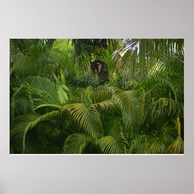 Poster Gentle Reach (Frente)