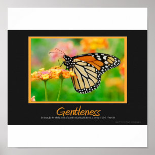 Pôster Gentleness