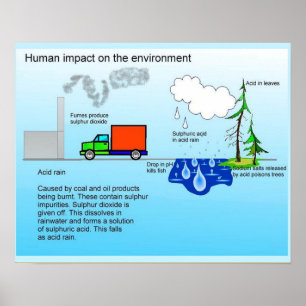Poster Geografia, impacto humano no ambiente