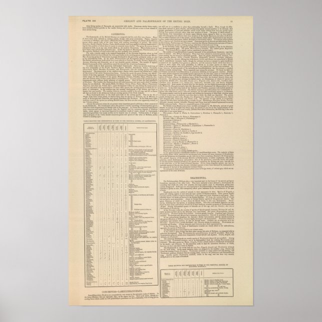 Poster Geologia e Paleontologia das Ilhas Britânicas (Frente)