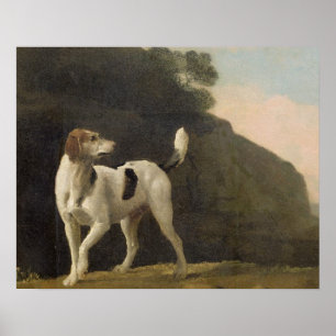 Poster George Stubbs   A Foxhound, c.1760 (óleo em papel 