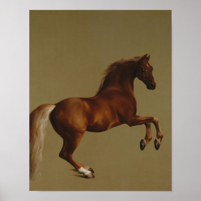 Poster George Stubbs - Casaco de assobio (Frente)
