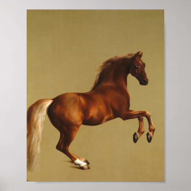 Poster George Stubbs - Casaco de assobio (Frente)