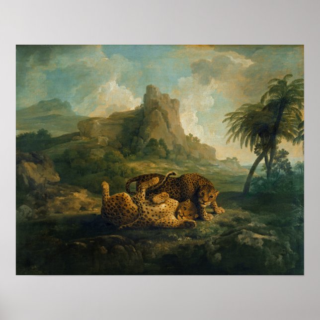 Pôster George Stubbs | Leopardos em Play, c.1763-8 (Frente)