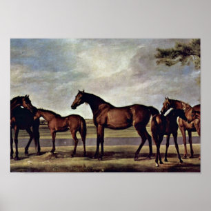 Pôster George Stubbs - Mares antes de uma tempestade imin