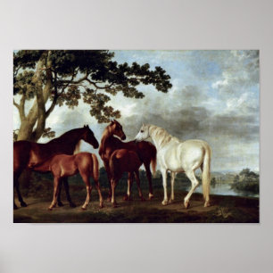 Poster George Stubbs - Mares e Pés numa Paisagem