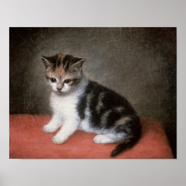 Pôster George Stubbs | O Kitten de Ann White, 1790 (Frente)