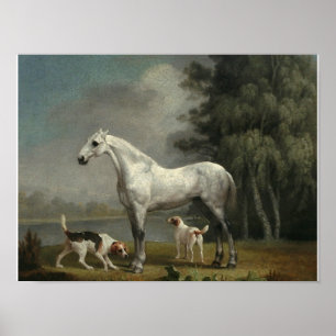 Poster George Stubbs - Um caçador de Cinzas