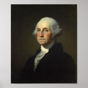 Pôster George Washington