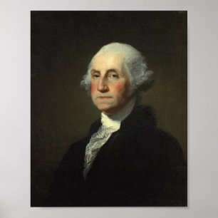 Pôster George Washington