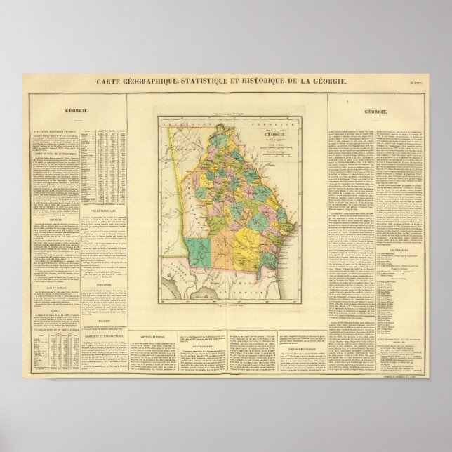 Poster Geórgia EUA (Frente)