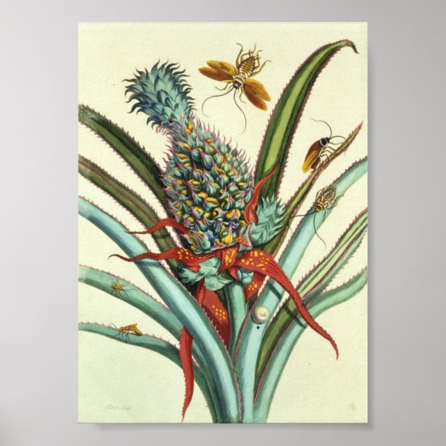 Pôster Gerações Insetas Placa 1 (Frente)