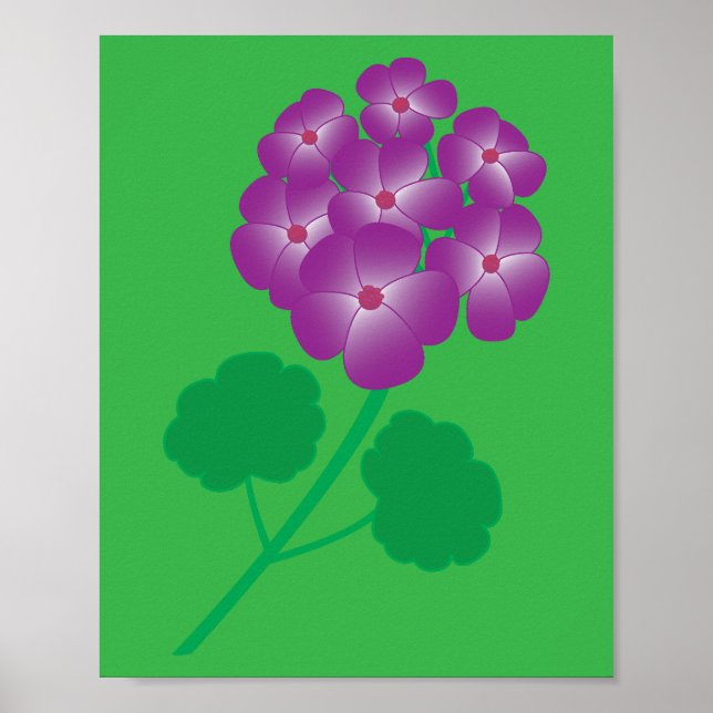 Poster Geranium Flowers (Frente)