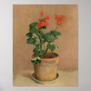 Poster Geraniums in a Pote, c.1905 (oil on canvas)