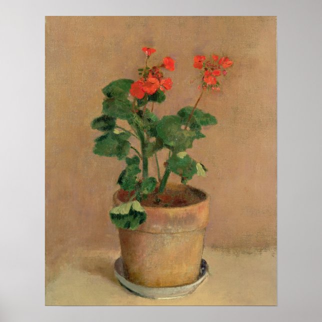 Poster Geraniums in a Pote, c.1905 (oil on canvas) (Frente)