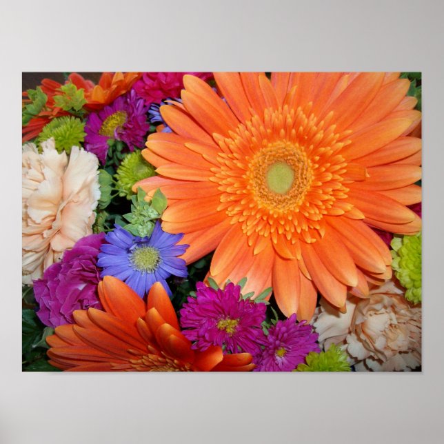 Poster Gerber Daisy ConvEsquema (Frente)