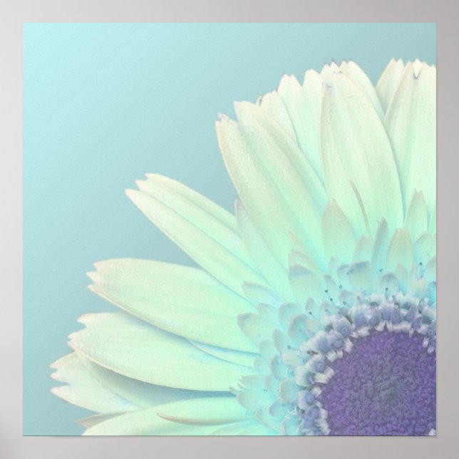 Poster Gerbera Daisy (Frente)