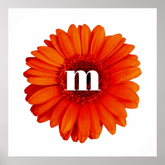 Poster Gerbera Daisy Monograma inicial (Frente)