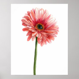 Poster Gerbera Margarida Rosa Aquarela Jardim Amante da N