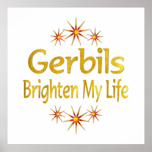 Pôster Gerbiles Brighten My Life (Frente)