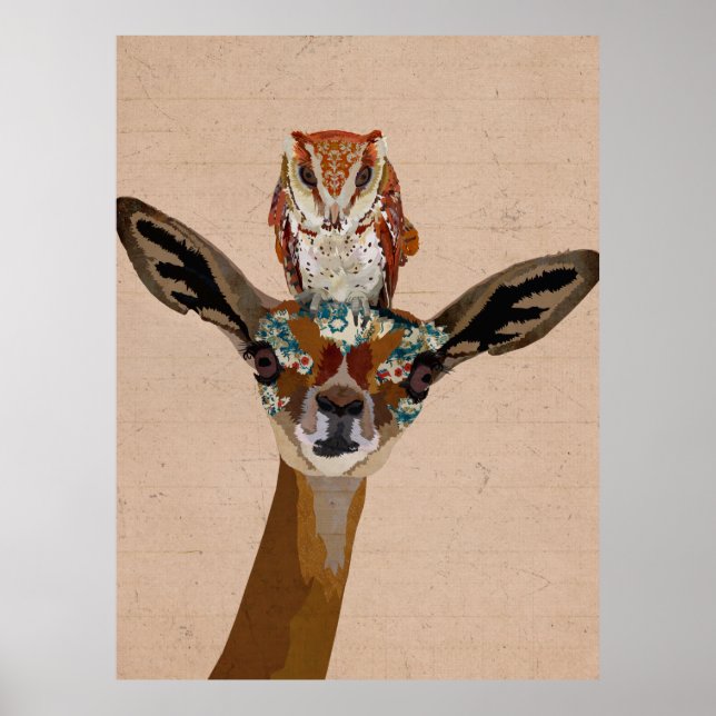 POSTER GERENUK & OWL (Frente)