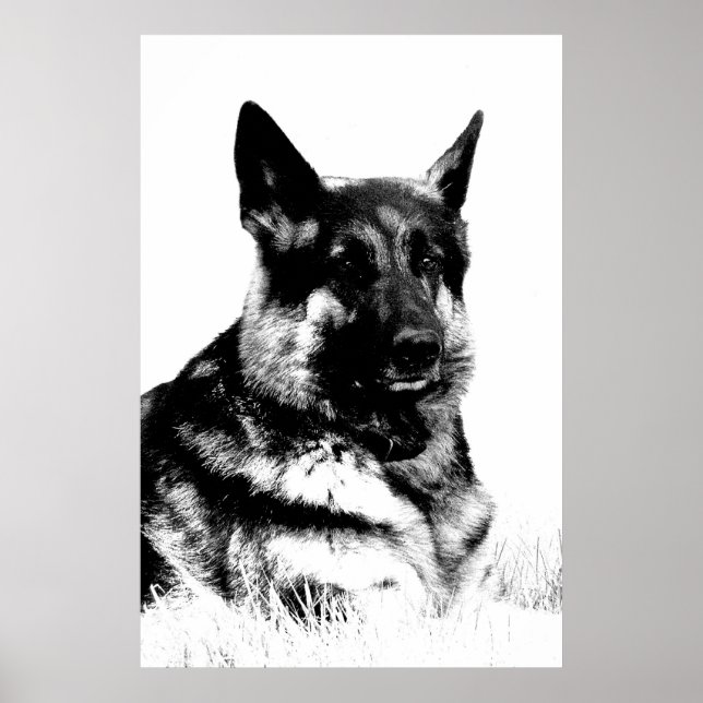 poster german shepherd (Frente)