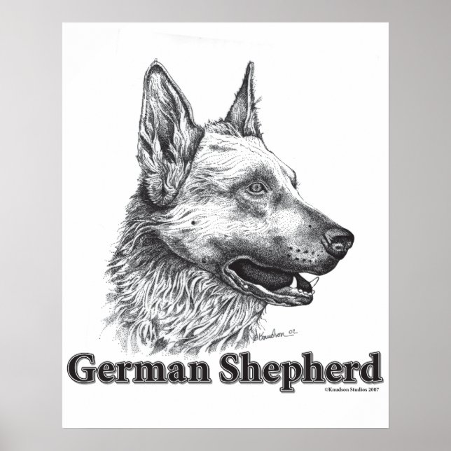 Poster German shepherd (Frente)