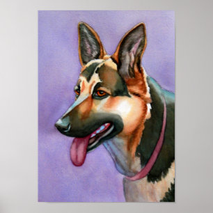 Poster german shepherd