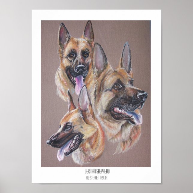 Pôster German shepherd (Frente)