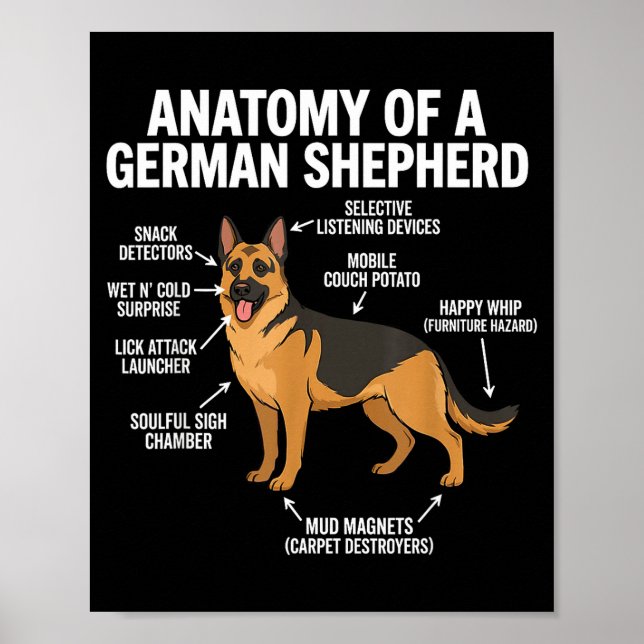 Poster German Shepherd  (Frente)
