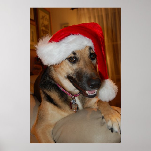 Pôster German shepherd de Natal (Frente)
