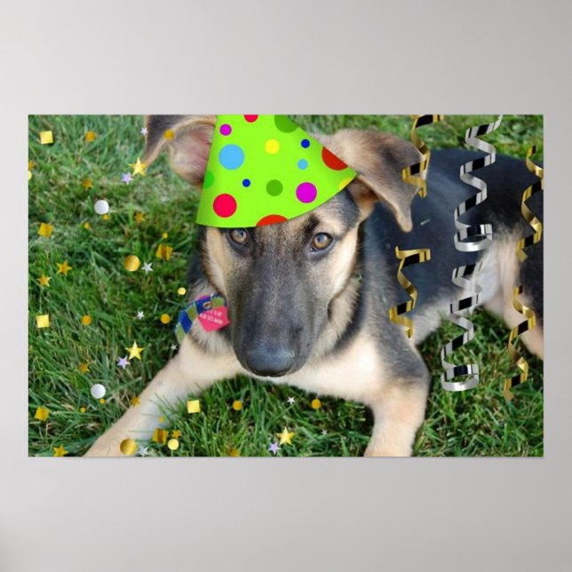 Pôster German shepherd festa de aniversário (Frente)